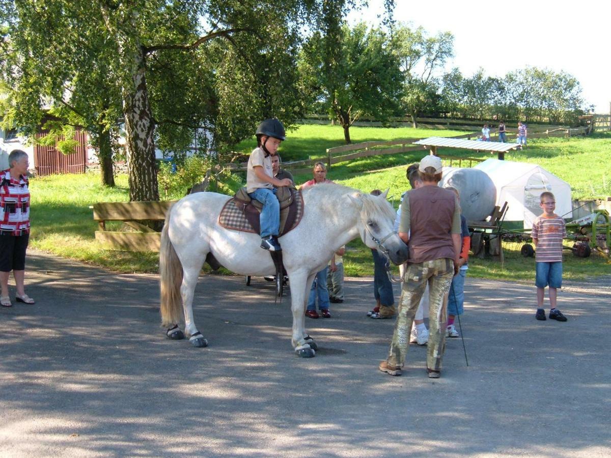 Ferienwohnungen Finke Frankenau Екстериор снимка
